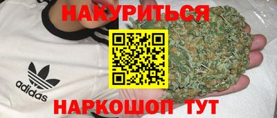 PSILOCYBIN Заволжье