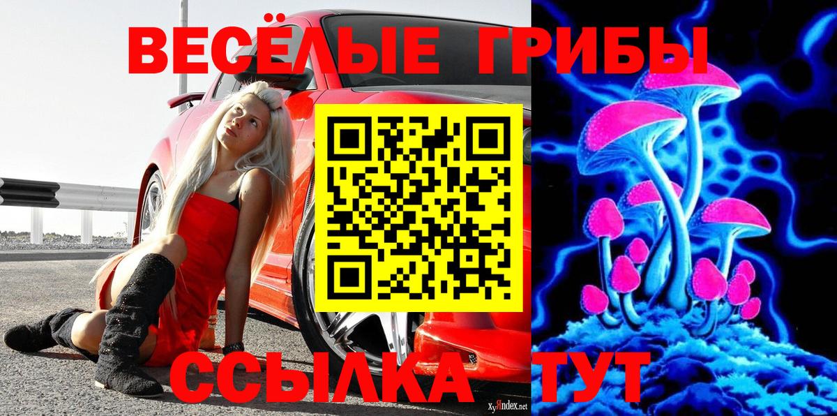 Галлюциногенные грибы Psilocybine cubensis  хочу наркоту  Добрянка  Псилоцибиновые грибы Psilocybe  Вход с VPN 